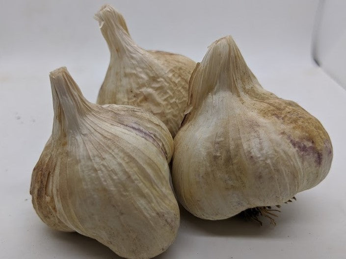 French White
