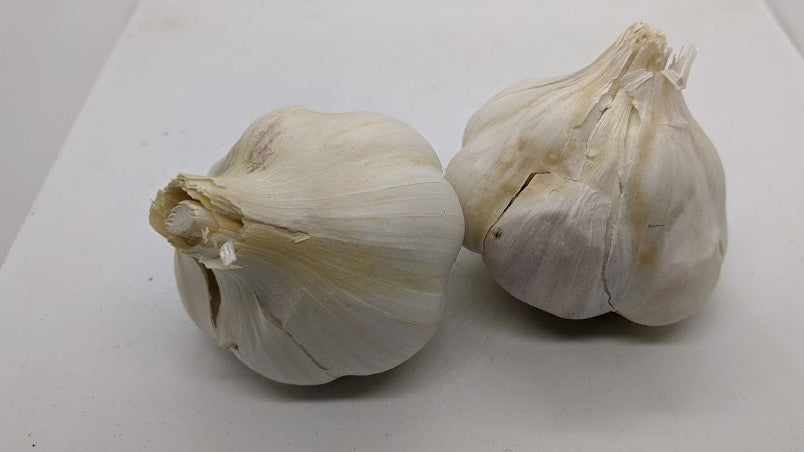 Inchilium Red garlic bulbs- an heirloom softneck Artichoke variety