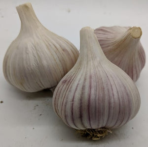 Chinese Pink Asiatic garlic bulbs