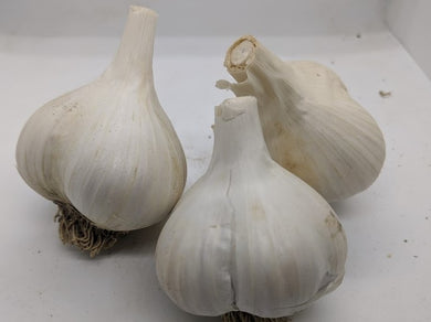 Serenity Valley garlic bulbs- a new garlic variety of true seed origin, from flowers and pollination