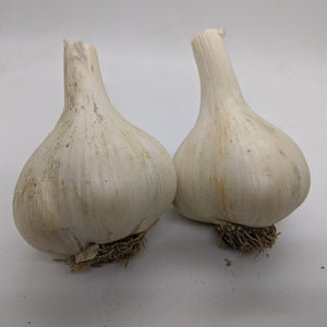 French Pink garlic bulbs. An heirloom Porcelain garlic variety.